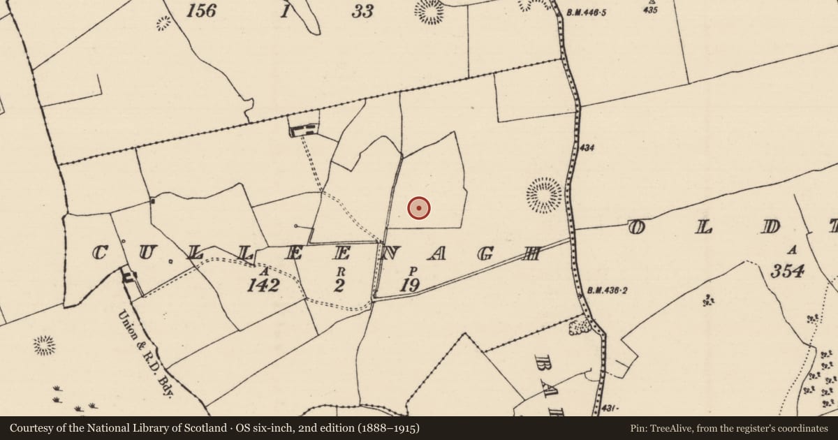 Ordnance Survey six-inch map, 2nd edition (1888–1915) covering the location of Enclosure, Culleenagh, County Tipperary North, with a pin at the register's coordinates