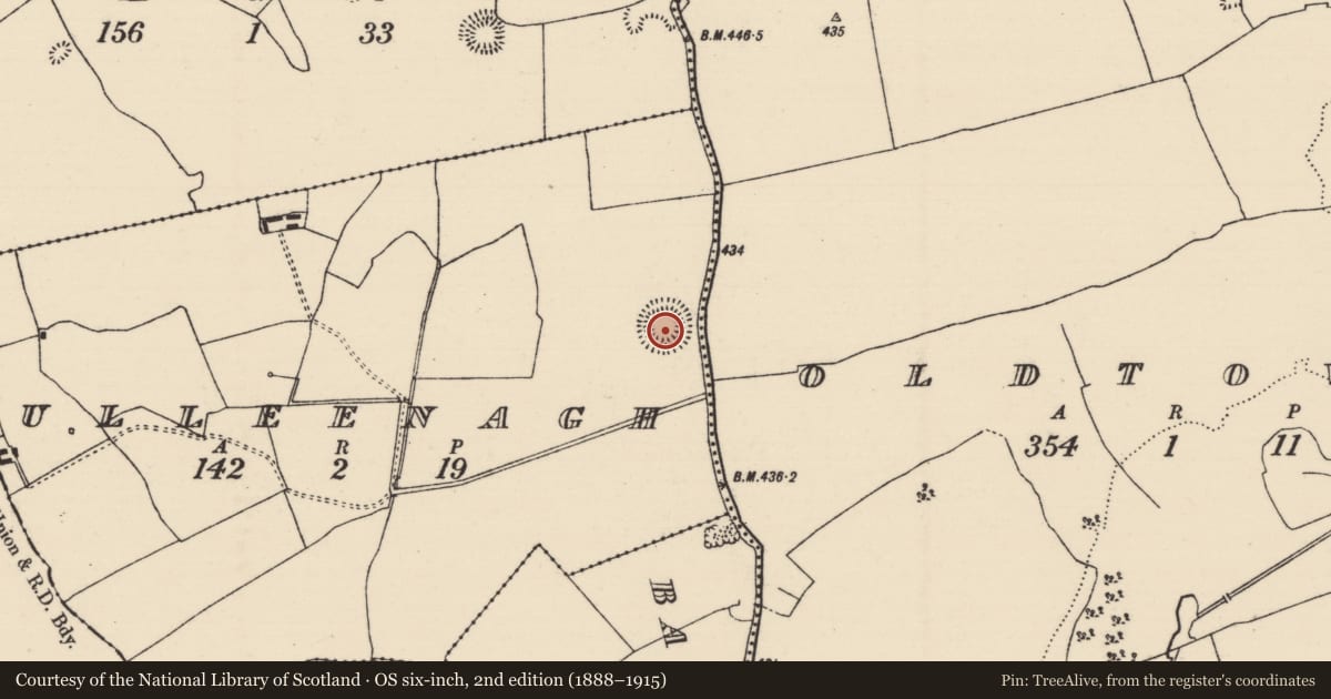 Ordnance Survey six-inch map, 2nd edition (1888–1915) covering the location of Enclosure, Culleenagh, County Tipperary North, with a pin at the register's coordinates