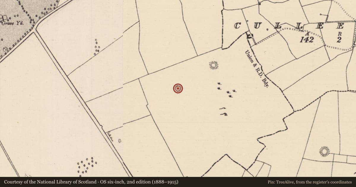 Ordnance Survey six-inch map, 2nd edition (1888–1915) covering the location of Enclosure, Barnane (Barnane-ely Par.), County Tipperary North, with a pin at the register's coordinates