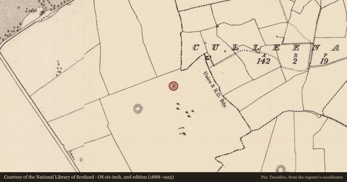 Ordnance Survey six-inch map, 2nd edition (1888–1915) covering the location of Enclosure, Barnane (Barnane-ely Par.), County Tipperary North, with a pin at the register's coordinates