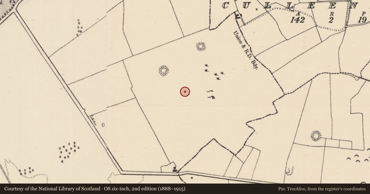 Ordnance Survey six-inch map, 2nd edition (1888–1915) covering the location of Enclosure, Barnane (Barnane-ely Par.), County Tipperary North, with a pin at the register's coordinates