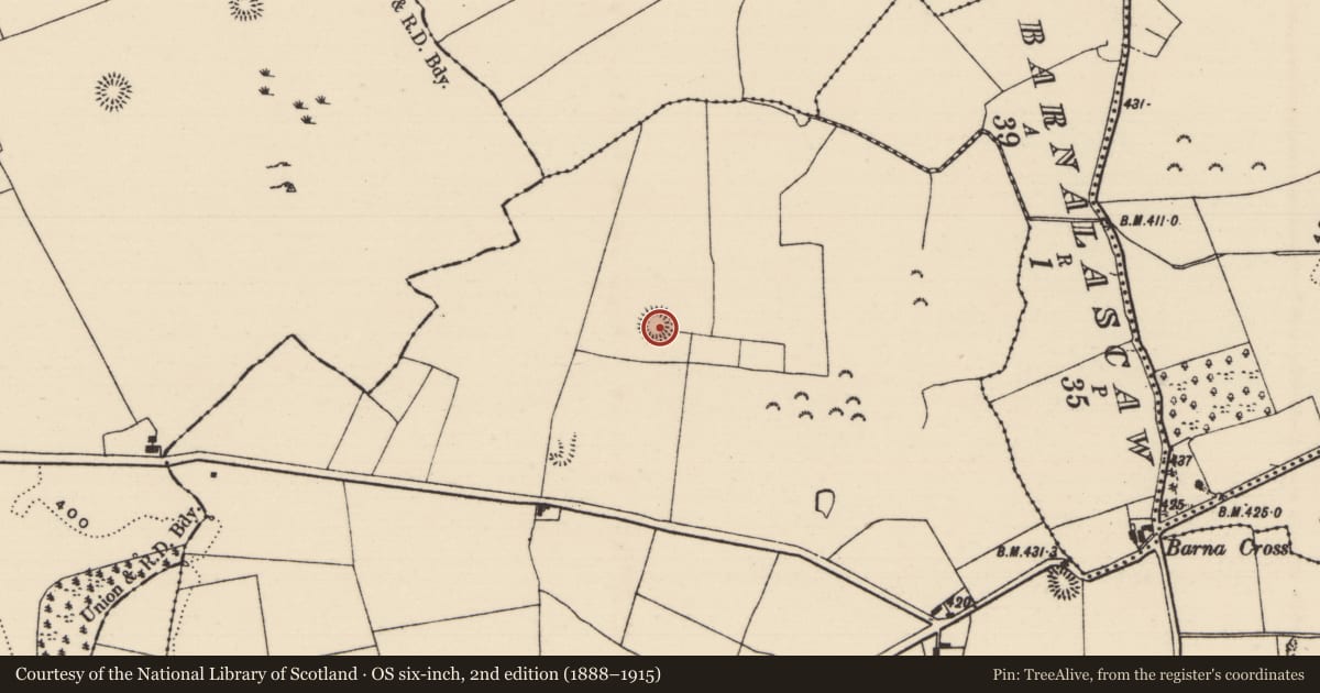 Ordnance Survey six-inch map, 2nd edition (1888–1915) covering the location of Enclosure, Knockagh (Drom Par.), County Tipperary North, with a pin at the register's coordinates