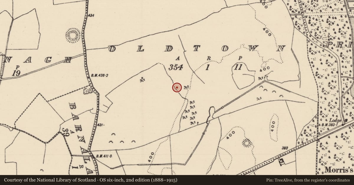 Ordnance Survey six-inch map, 2nd edition (1888–1915) covering the location of Settlement deserted - medieval, Oldtown, County Tipperary North, with a pin at the register's coordinates