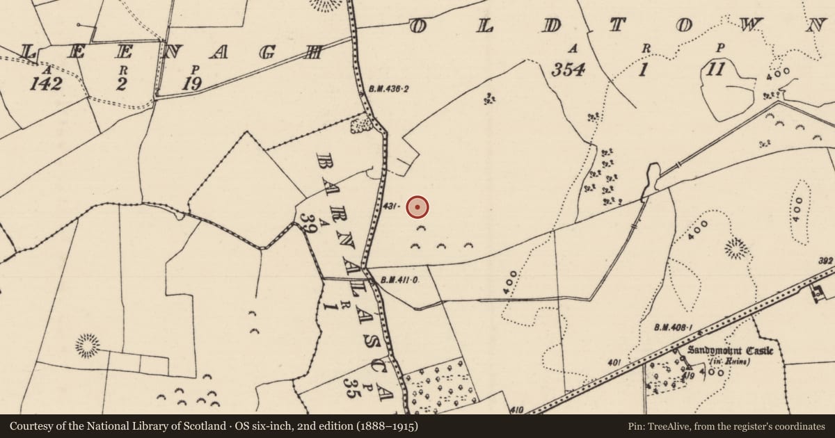 Ordnance Survey six-inch map, 2nd edition (1888–1915) covering the location of Castle - unclassified, Oldtown, County Tipperary North, with a pin at the register's coordinates