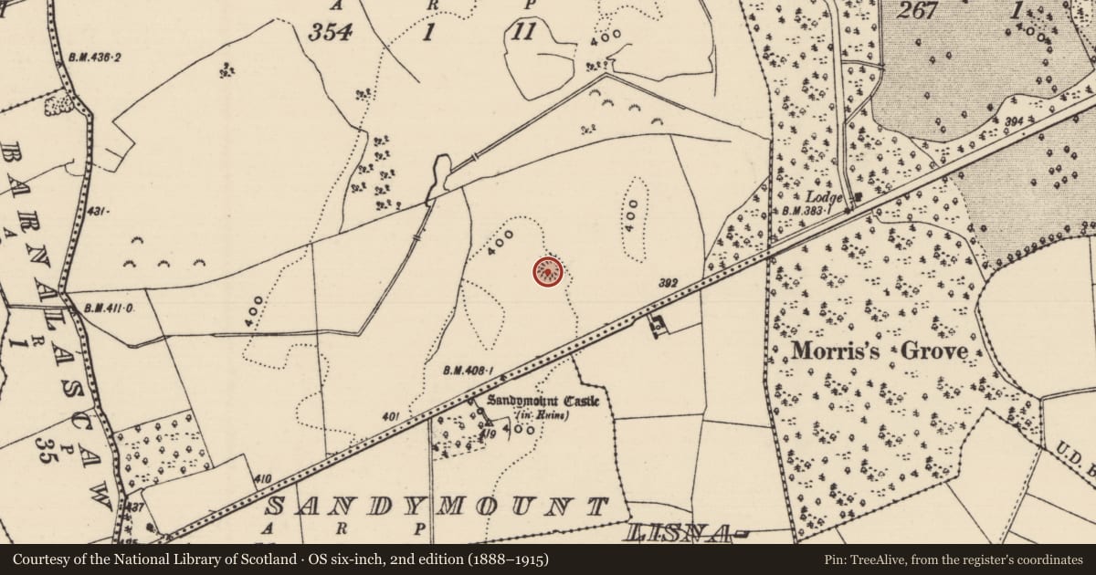 Ordnance Survey six-inch map, 2nd edition (1888–1915) covering the location of Ringfort - rath, Oldtown, County Tipperary North, with a pin at the register's coordinates