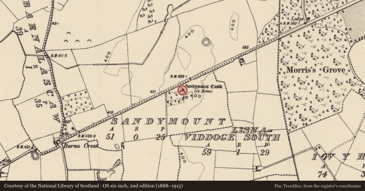 Ordnance Survey six-inch map, 2nd edition (1888–1915) covering the location of Designed landscape - folly, Sandymount, County Tipperary North, with a pin at the register's coordinates