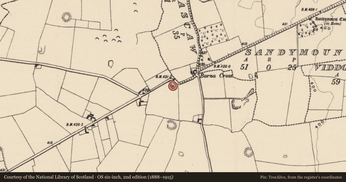 Ordnance Survey six-inch map, 2nd edition (1888–1915) covering the location of Enclosure, Knockagh (Drom Par.), County Tipperary North, with a pin at the register's coordinates
