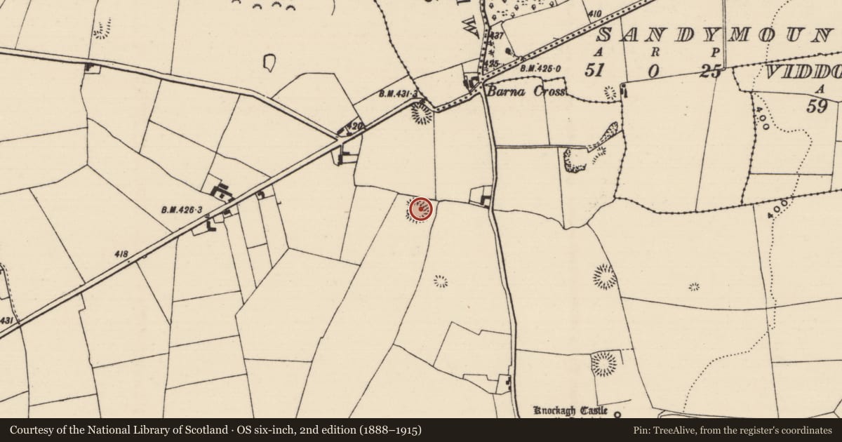 Ordnance Survey six-inch map, 2nd edition (1888–1915) covering the location of Ringfort - rath, Knockagh (Drom Par.), County Tipperary North, with a pin at the register's coordinates