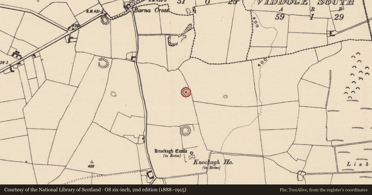 Ordnance Survey six-inch map, 2nd edition (1888–1915) covering the location of Enclosure, Knockagh (Drom Par.), County Tipperary North, with a pin at the register's coordinates