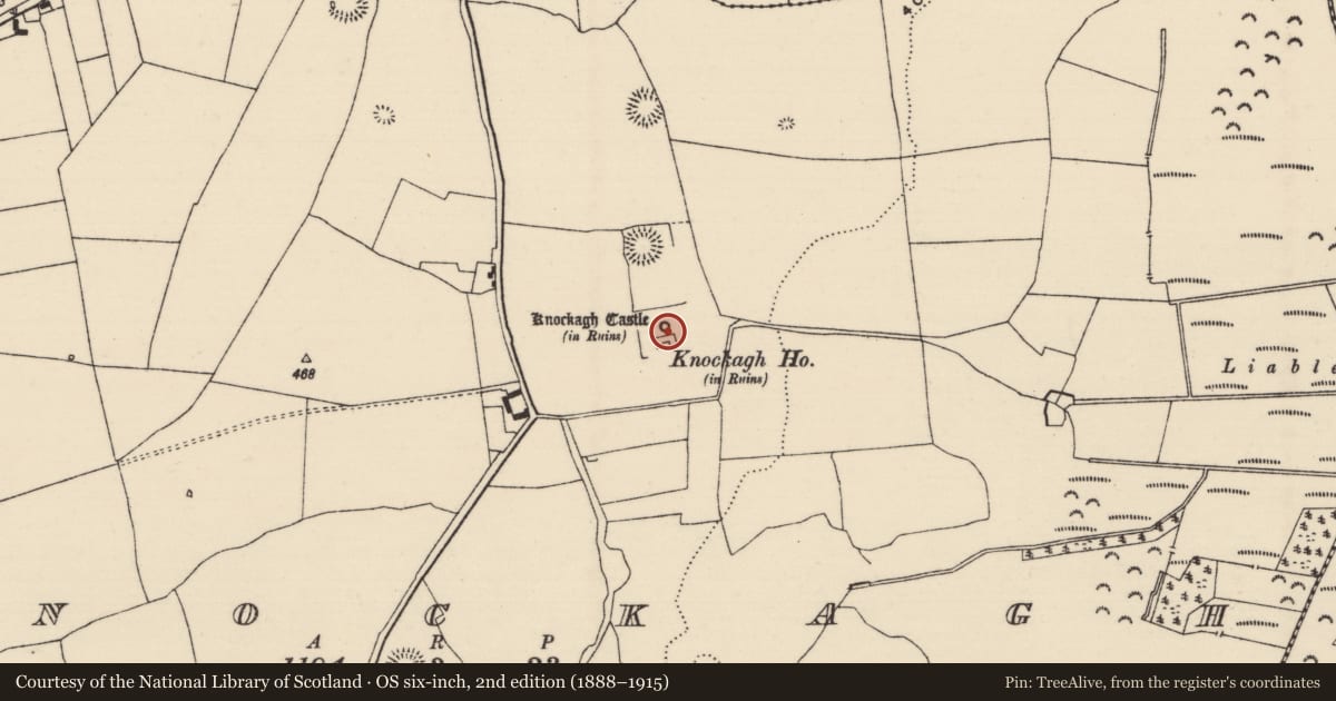 Ordnance Survey six-inch map, 2nd edition (1888–1915) covering the location of Settlement deserted - medieval, Knockagh (Drom Par.), County Tipperary North, with a pin at the register's coordinates