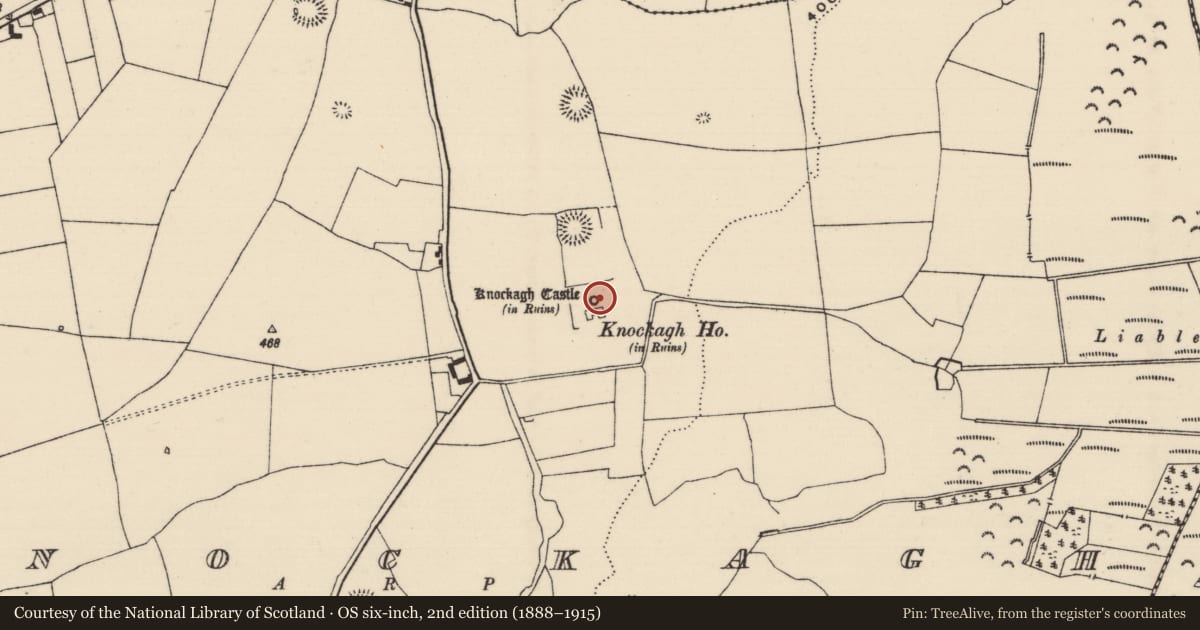 Ordnance Survey six-inch map, 2nd edition (1888–1915) covering the location of Castle - tower house, Knockagh (Drom Par.), County Tipperary North, with a pin at the register's coordinates