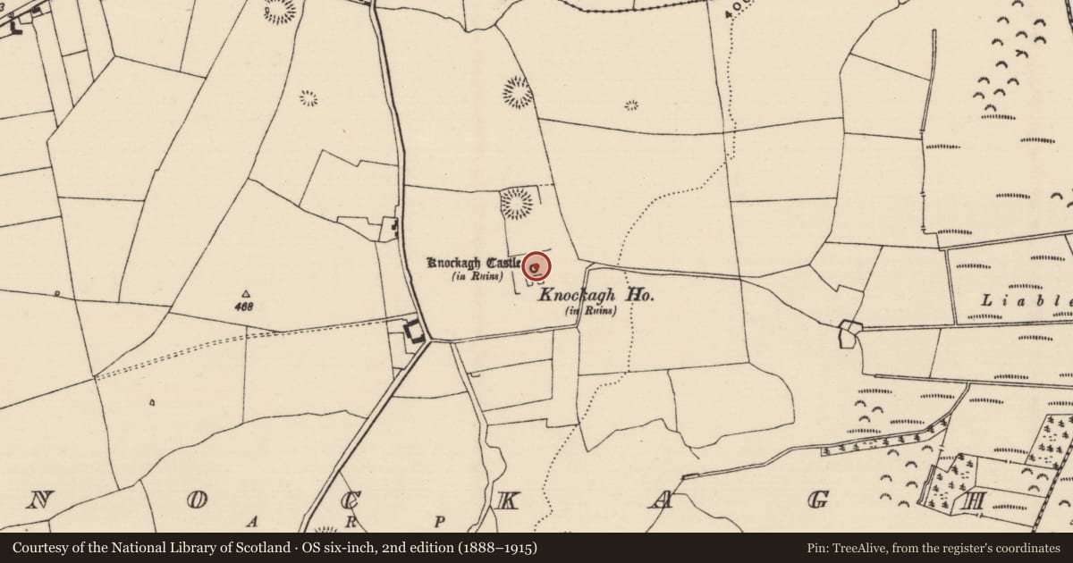 Ordnance Survey six-inch map, 2nd edition (1888–1915) covering the location of Bawn, Knockagh (Drom Par.), County Tipperary North, with a pin at the register's coordinates