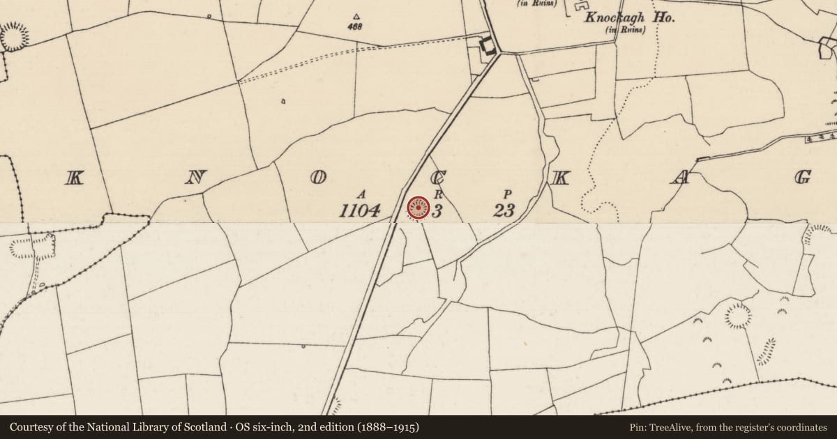 Ordnance Survey six-inch map, 2nd edition (1888–1915) covering the location of Ringfort - rath, Knockagh (Drom Par.), County Tipperary North, with a pin at the register's coordinates