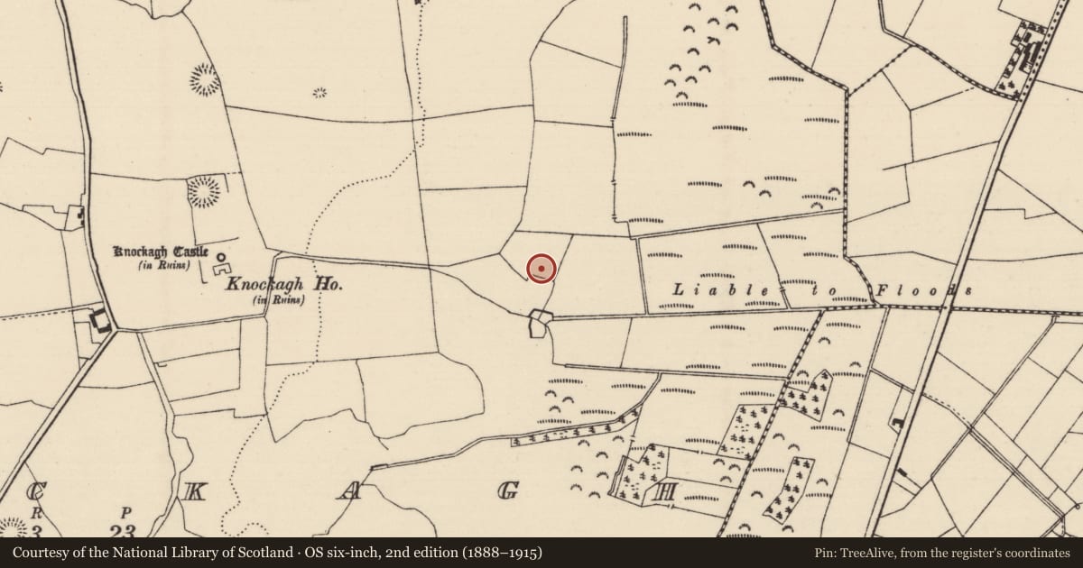 Ordnance Survey six-inch map, 2nd edition (1888–1915) covering the location of Moated site, Knockagh (Drom Par.), County Tipperary North, with a pin at the register's coordinates