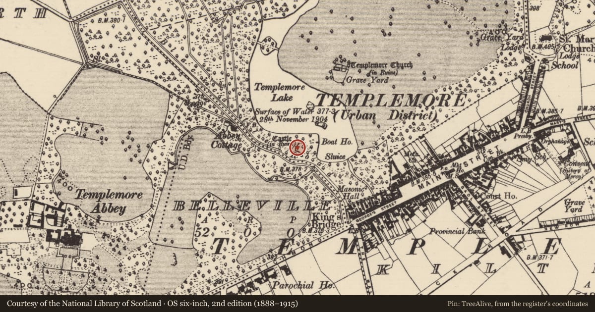 Ordnance Survey six-inch map, 2nd edition (1888–1915) covering the location of Castle - tower house, Templemore Demesne, County Tipperary North, with a pin at the register's coordinates