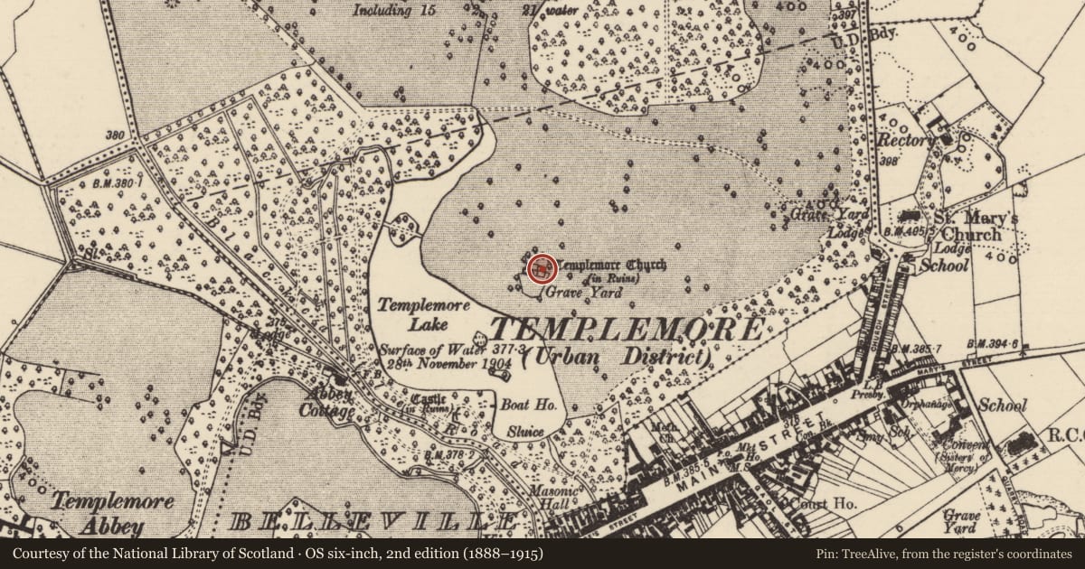 Ordnance Survey six-inch map, 2nd edition (1888–1915) covering the location of Graveslab, Templemore Demesne, County Tipperary North, with a pin at the register's coordinates