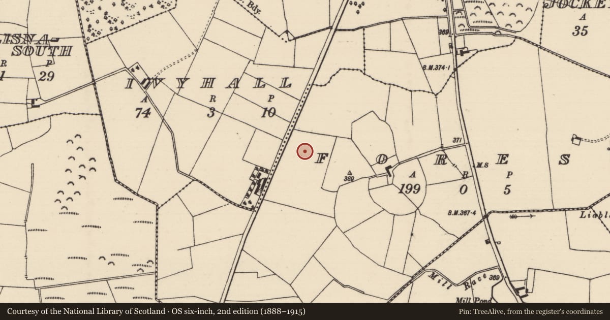 Ordnance Survey six-inch map, 2nd edition (1888–1915) covering the location of Enclosure, Forest, County Tipperary North, with a pin at the register's coordinates