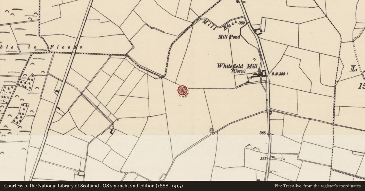 Ordnance Survey six-inch map, 2nd edition (1888–1915) covering the location of Enclosure, Whitefield, County Tipperary North, with a pin at the register's coordinates