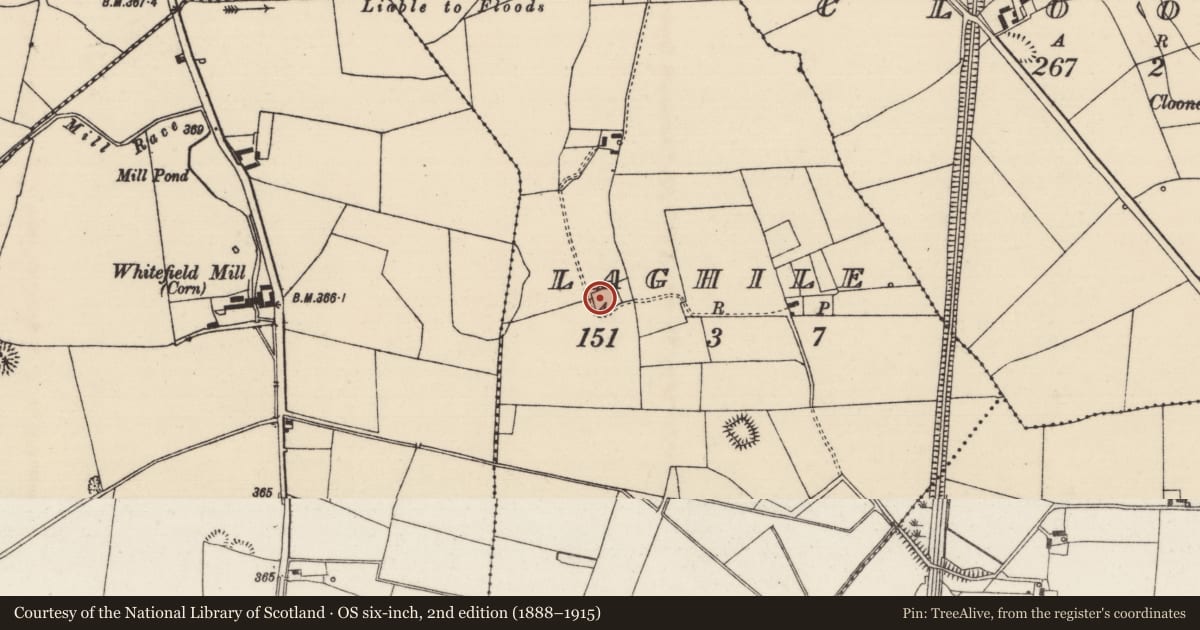 Ordnance Survey six-inch map, 2nd edition (1888–1915) covering the location of Moated site, Laghile (Loughmoe West Par.), County Tipperary North, with a pin at the register's coordinates