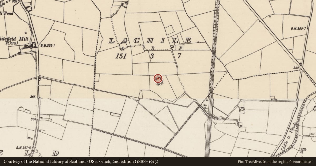 Ordnance Survey six-inch map, 2nd edition (1888–1915) covering the location of Enclosure, Laghile (Loughmoe West Par.), County Tipperary North, with a pin at the register's coordinates