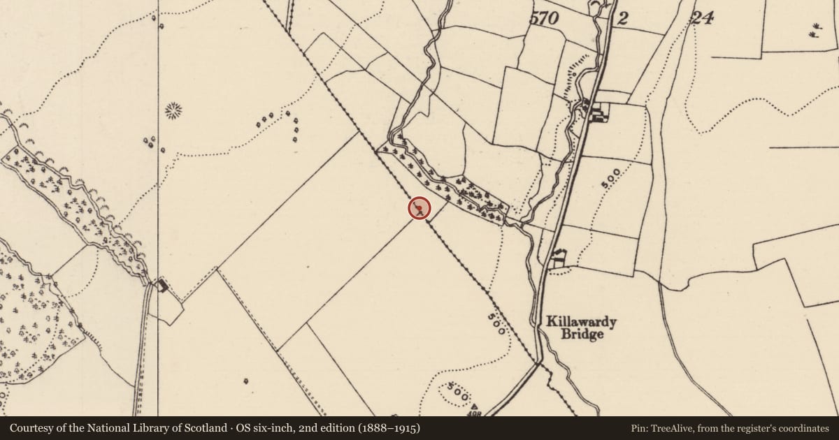 Ordnance Survey six-inch map, 2nd edition (1888–1915) covering the location of Earthwork, Barnane (Killea Par.), Killawardy (Killea Par.), County Tipperary North, with a pin at the register's coordinates