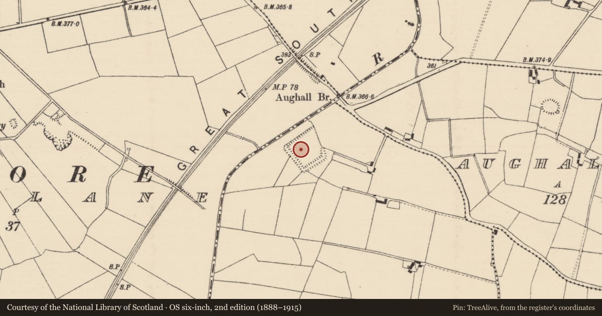 Ordnance Survey six-inch map, 2nd edition (1888–1915) covering the location of Moated site, Aughall More, County Tipperary North, with a pin at the register's coordinates