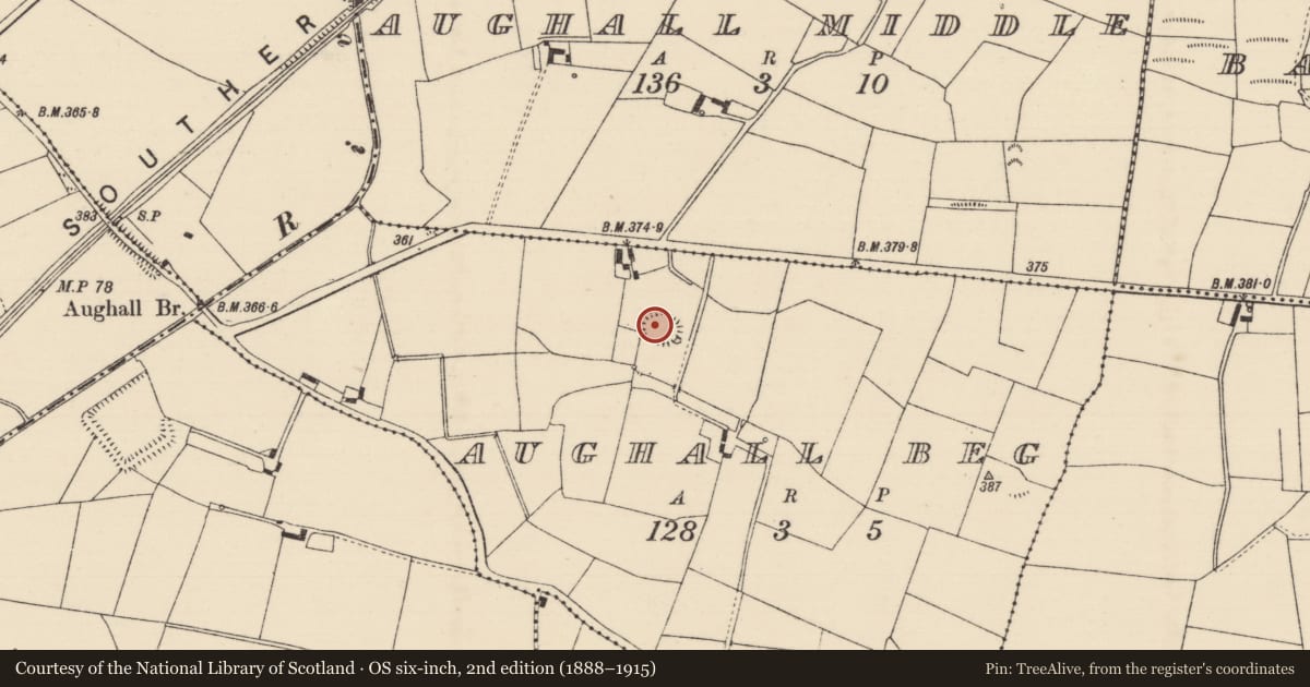 Ordnance Survey six-inch map, 2nd edition (1888–1915) covering the location of Ringfort - rath, Aughall Beg, County Tipperary North, with a pin at the register's coordinates