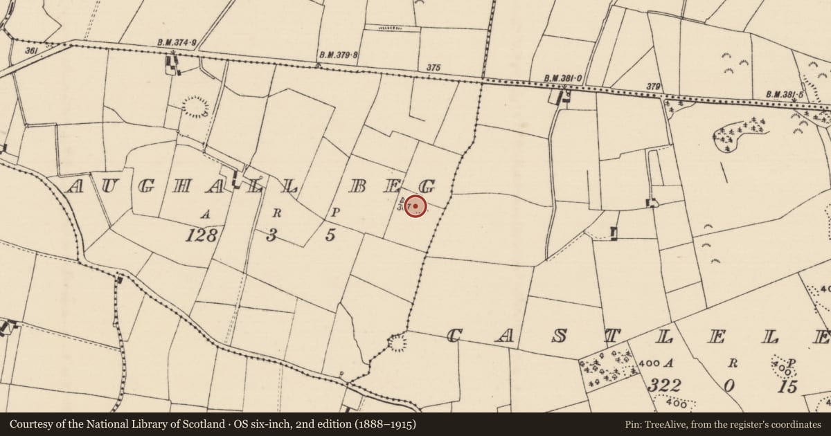 Ordnance Survey six-inch map, 2nd edition (1888–1915) covering the location of Ringfort - rath, Aughall Beg, County Tipperary North, with a pin at the register's coordinates