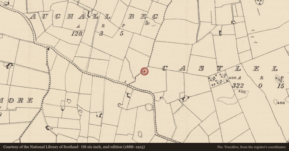 Ordnance Survey six-inch map, 2nd edition (1888–1915) covering the location of Ringfort - rath, Aughall Beg, Castleleiny, County Tipperary North, with a pin at the register's coordinates