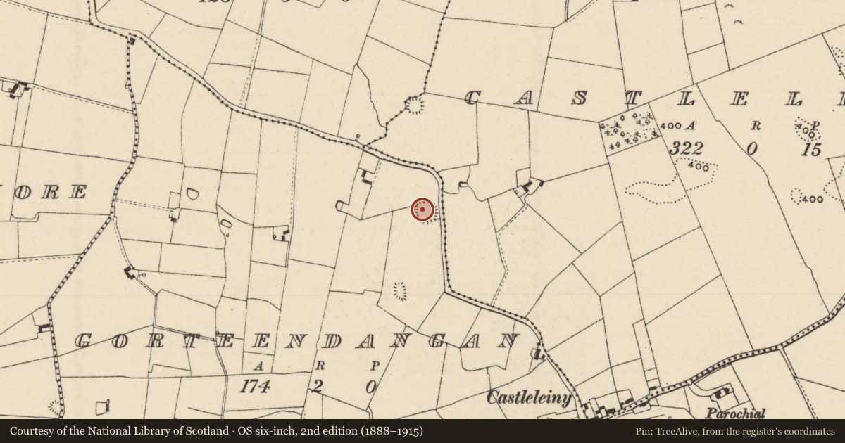 Ordnance Survey six-inch map, 2nd edition (1888–1915) covering the location of Ringfort - rath, Gorteendangan, County Tipperary North, with a pin at the register's coordinates