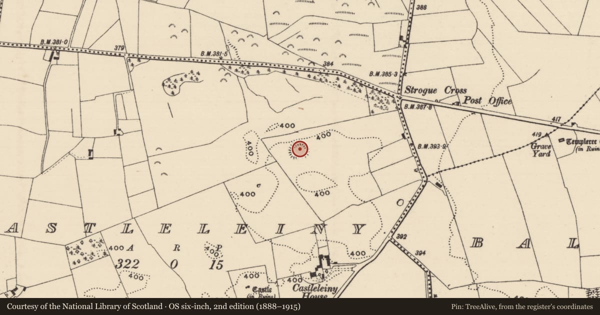 Ordnance Survey six-inch map, 2nd edition (1888–1915) covering the location of Ringfort - rath, Castleleiny, County Tipperary North, with a pin at the register's coordinates