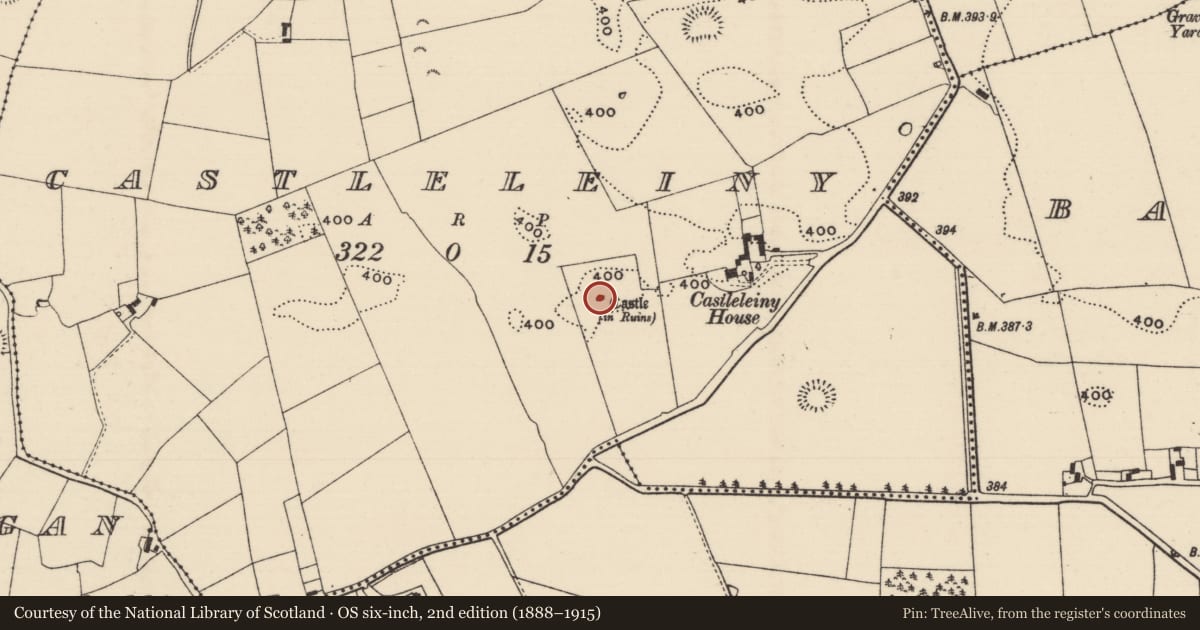 Ordnance Survey six-inch map, 2nd edition (1888–1915) covering the location of House - fortified house, Castleleiny, County Tipperary North, with a pin at the register's coordinates