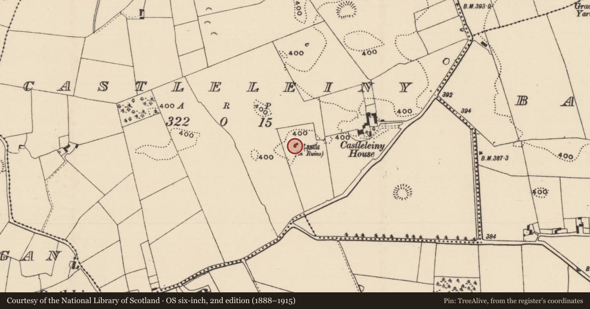 Ordnance Survey six-inch map, 2nd edition (1888–1915) covering the location of Bawn, Castleleiny, County Tipperary North, with a pin at the register's coordinates