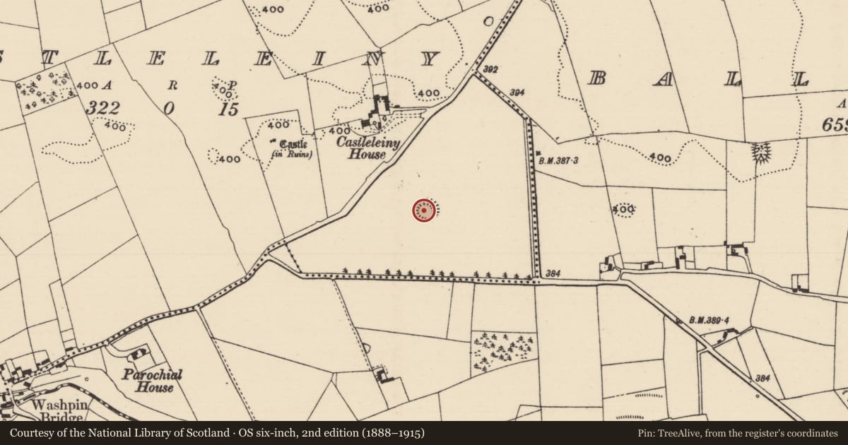 Ordnance Survey six-inch map, 2nd edition (1888–1915) covering the location of Ringfort - rath, Castleleiny, County Tipperary North, with a pin at the register's coordinates