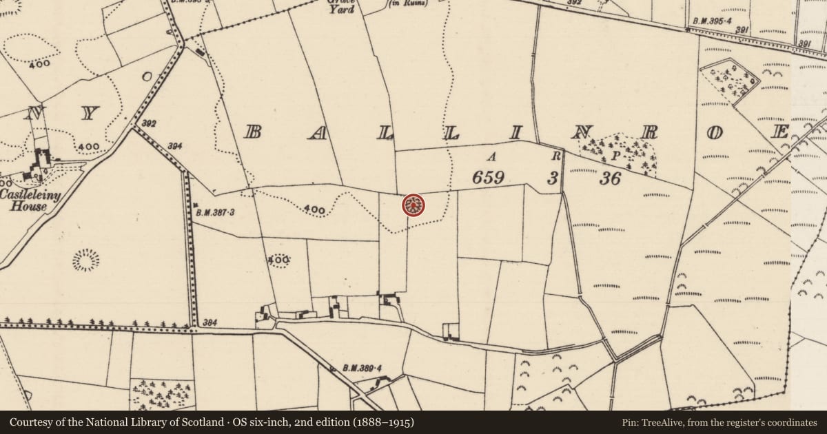 Ordnance Survey six-inch map, 2nd edition (1888–1915) covering the location of Ringfort - rath, Ballinroe, County Tipperary North, with a pin at the register's coordinates