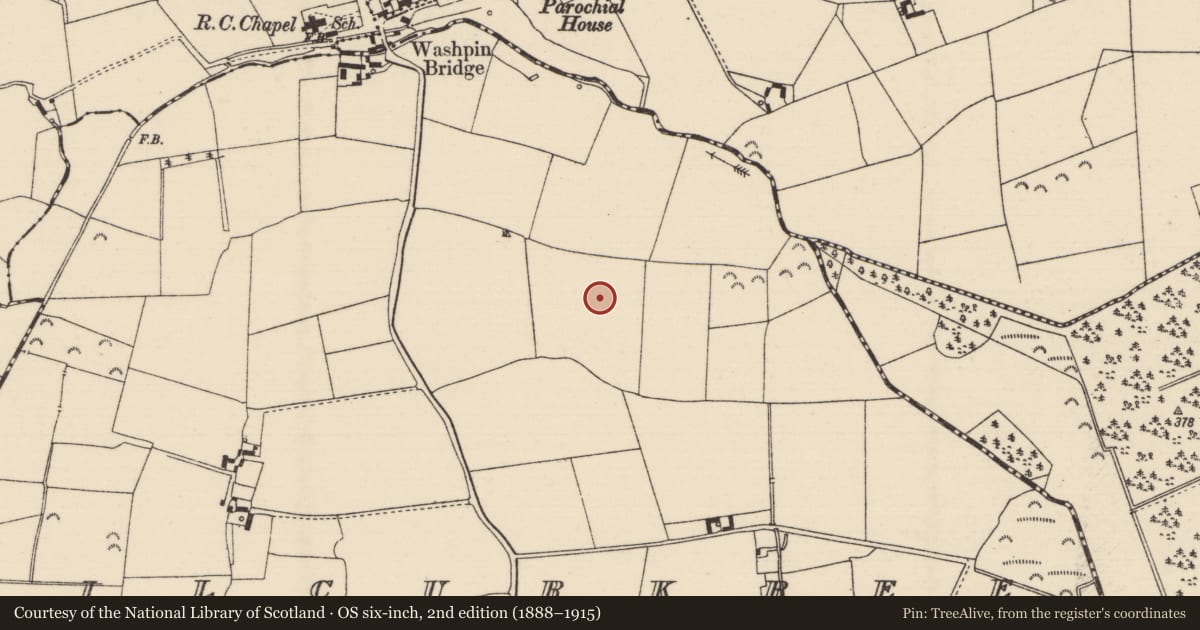 Ordnance Survey six-inch map, 2nd edition (1888–1915) covering the location of Children's burial ground, Kilcurkree, County Tipperary North, with a pin at the register's coordinates