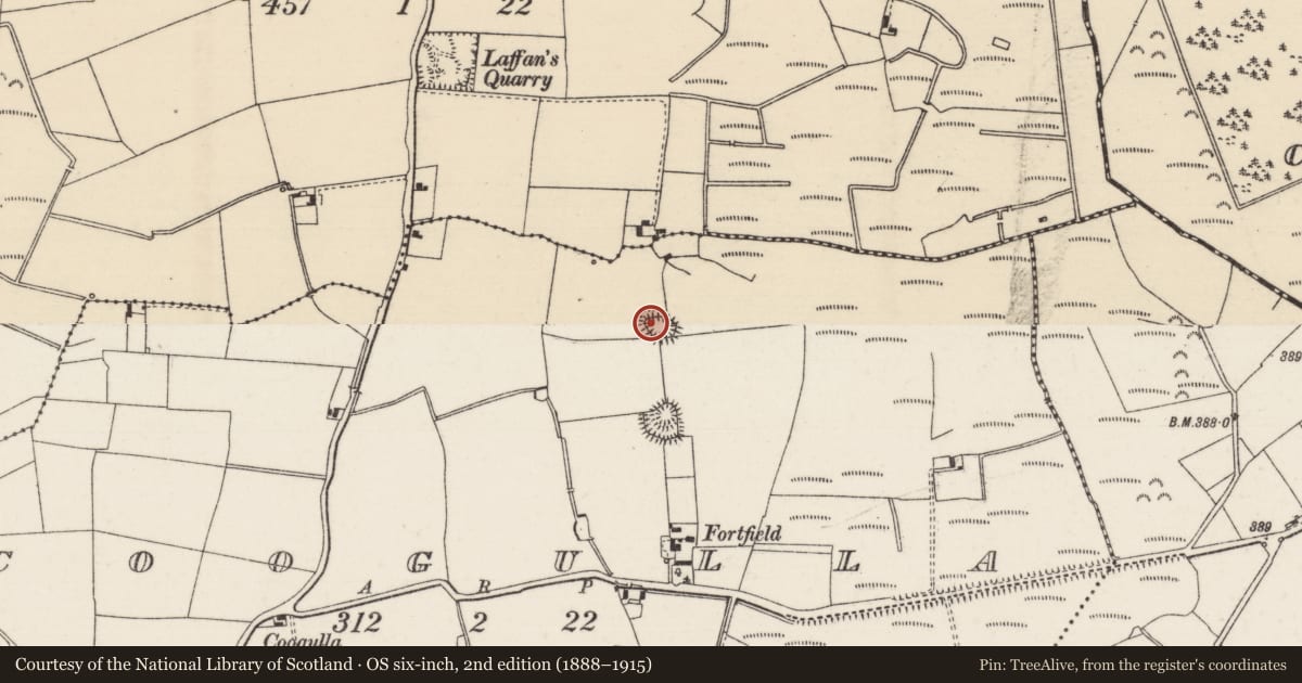 Ordnance Survey six-inch map, 2nd edition (1888–1915) covering the location of Ringfort - rath, Coogulla, County Tipperary North, with a pin at the register's coordinates
