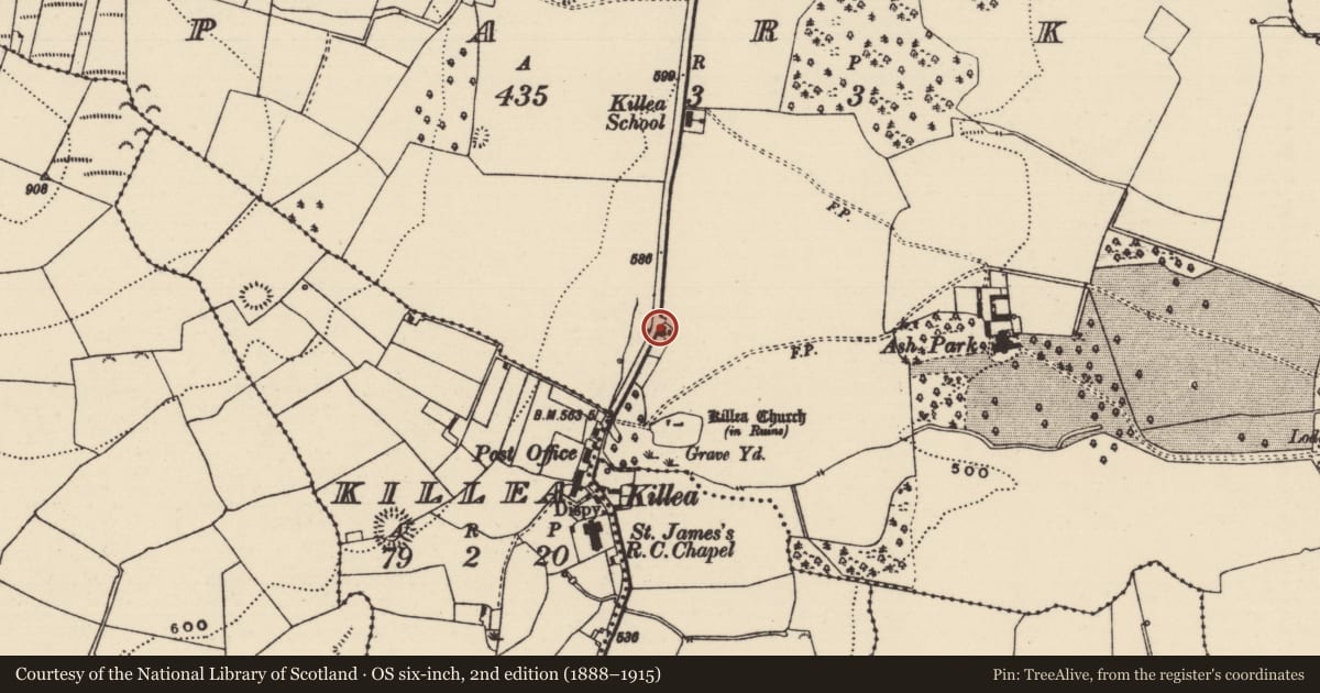 Ordnance Survey six-inch map, 2nd edition (1888–1915) covering the location of House - medieval, Park (Killea Par.), County Tipperary North, with a pin at the register's coordinates