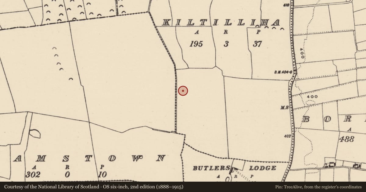 Ordnance Survey six-inch map, 2nd edition (1888–1915) covering the location of Enclosure, Kiltilliha, County Tipperary North, with a pin at the register's coordinates