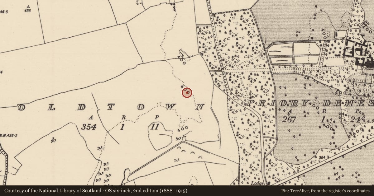 Ordnance Survey six-inch map, 2nd edition (1888–1915) covering the location of Enclosure, Oldtown, County Tipperary North, with a pin at the register's coordinates