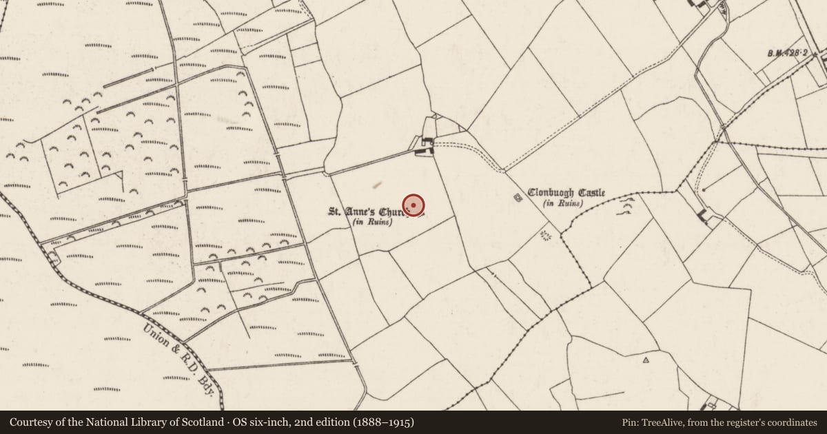 Ordnance Survey six-inch map, 2nd edition (1888–1915) covering the location of Children's burial ground, Clonbuogh (Killavinoge Par.), County Tipperary North, with a pin at the register's coordinates