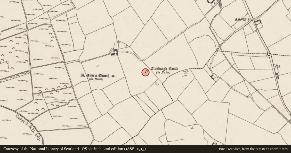 Ordnance Survey six-inch map, 2nd edition (1888–1915) covering the location of Earthwork, Clonbuogh (Killavinoge Par.), County Tipperary North, with a pin at the register's coordinates