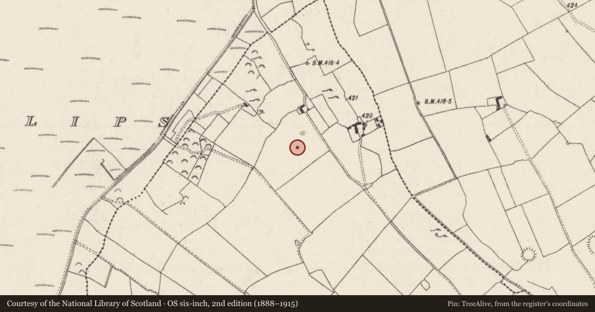 Ordnance Survey six-inch map, 2nd edition (1888–1915) covering the location of Earthwork, Lisdalleen And Drummin, County Tipperary North, with a pin at the register's coordinates