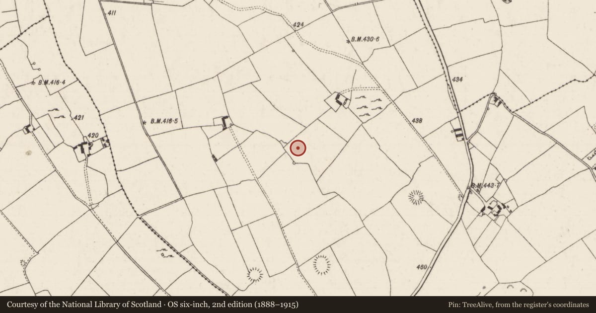 Ordnance Survey six-inch map, 2nd edition (1888–1915) covering the location of Enclosure, Tullowmacjames, County Tipperary North, with a pin at the register's coordinates