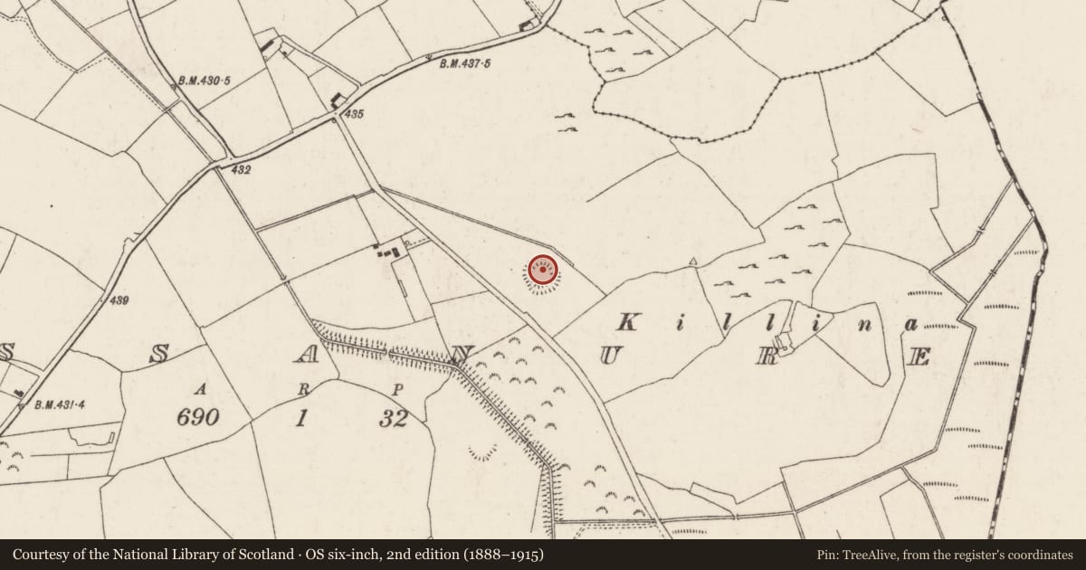 Ordnance Survey six-inch map, 2nd edition (1888–1915) covering the location of Ringfort - rath, Lissanure (Killavinoge Par.), County Tipperary North, with a pin at the register's coordinates