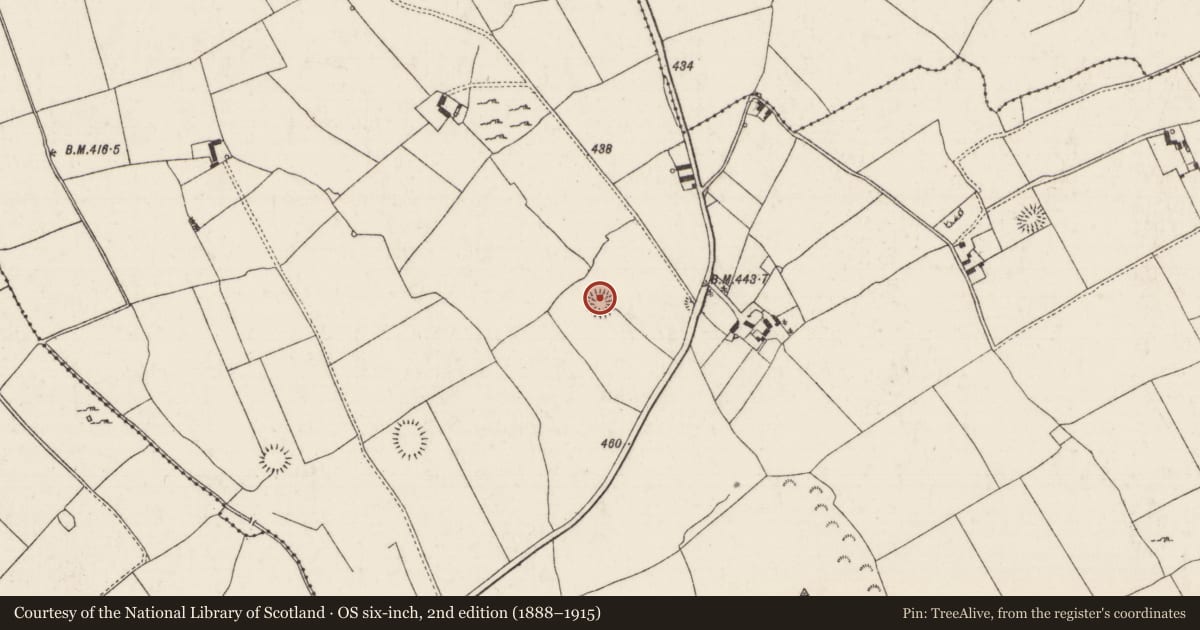 Ordnance Survey six-inch map, 2nd edition (1888–1915) covering the location of Enclosure, Tullowmacjames, County Tipperary North, with a pin at the register's coordinates