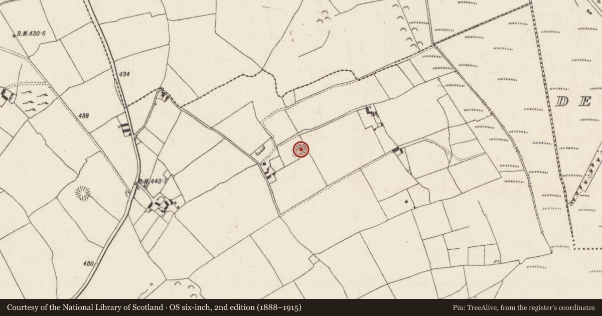 Ordnance Survey six-inch map, 2nd edition (1888–1915) covering the location of Enclosure, Tullowmacjames, County Tipperary North, with a pin at the register's coordinates