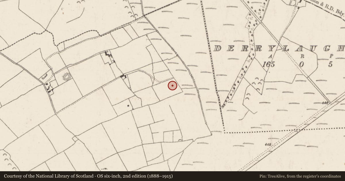 Ordnance Survey six-inch map, 2nd edition (1888–1915) covering the location of Fulacht fia, Tullowmacjames, County Tipperary North, with a pin at the register's coordinates