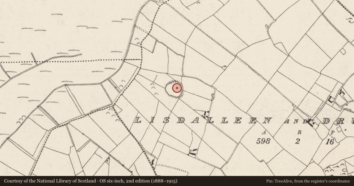 Ordnance Survey six-inch map, 2nd edition (1888–1915) covering the location of Ringfort - rath, Lisdalleen And Drummin, County Tipperary North, with a pin at the register's coordinates