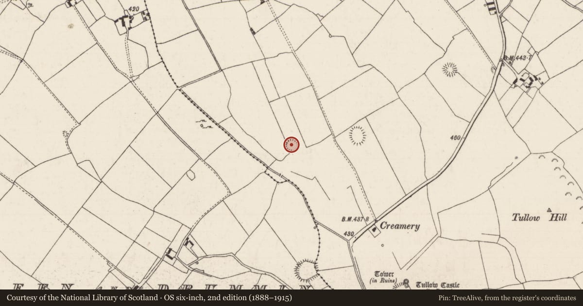 Ordnance Survey six-inch map, 2nd edition (1888–1915) covering the location of Enclosure, Tullowmacjames, County Tipperary North, with a pin at the register's coordinates